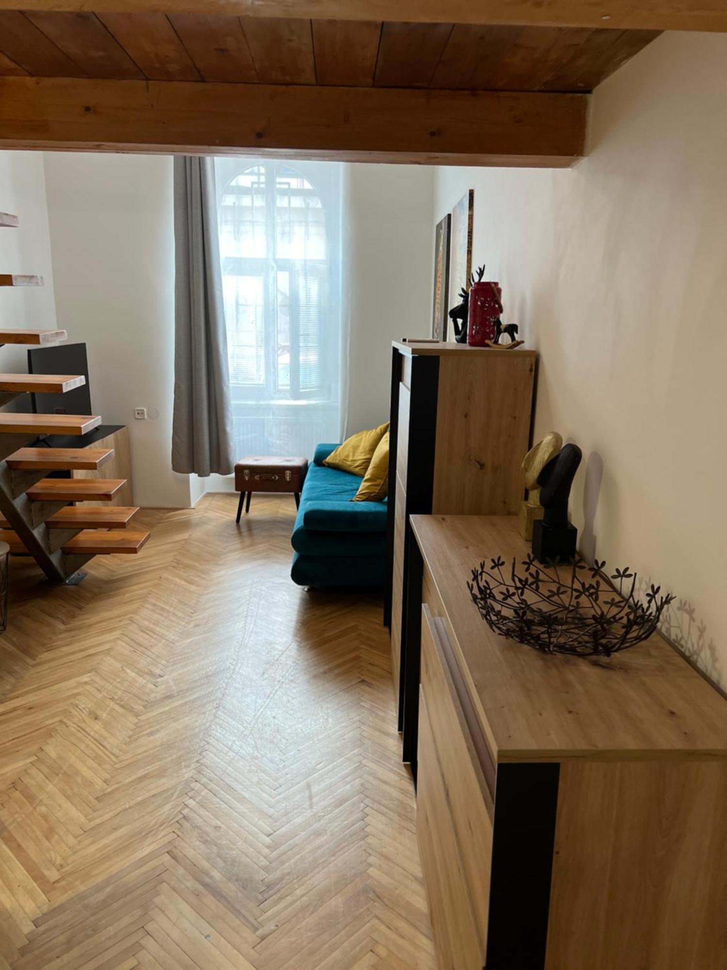 Apartment Plus Parking Brno Eksteriør bilde